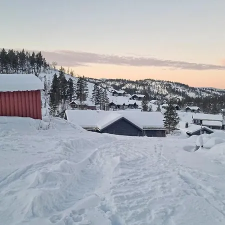 Flott - Tjorhom